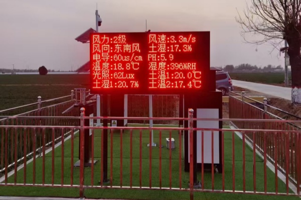 MC-BZY-VI型物聯網智能孢子